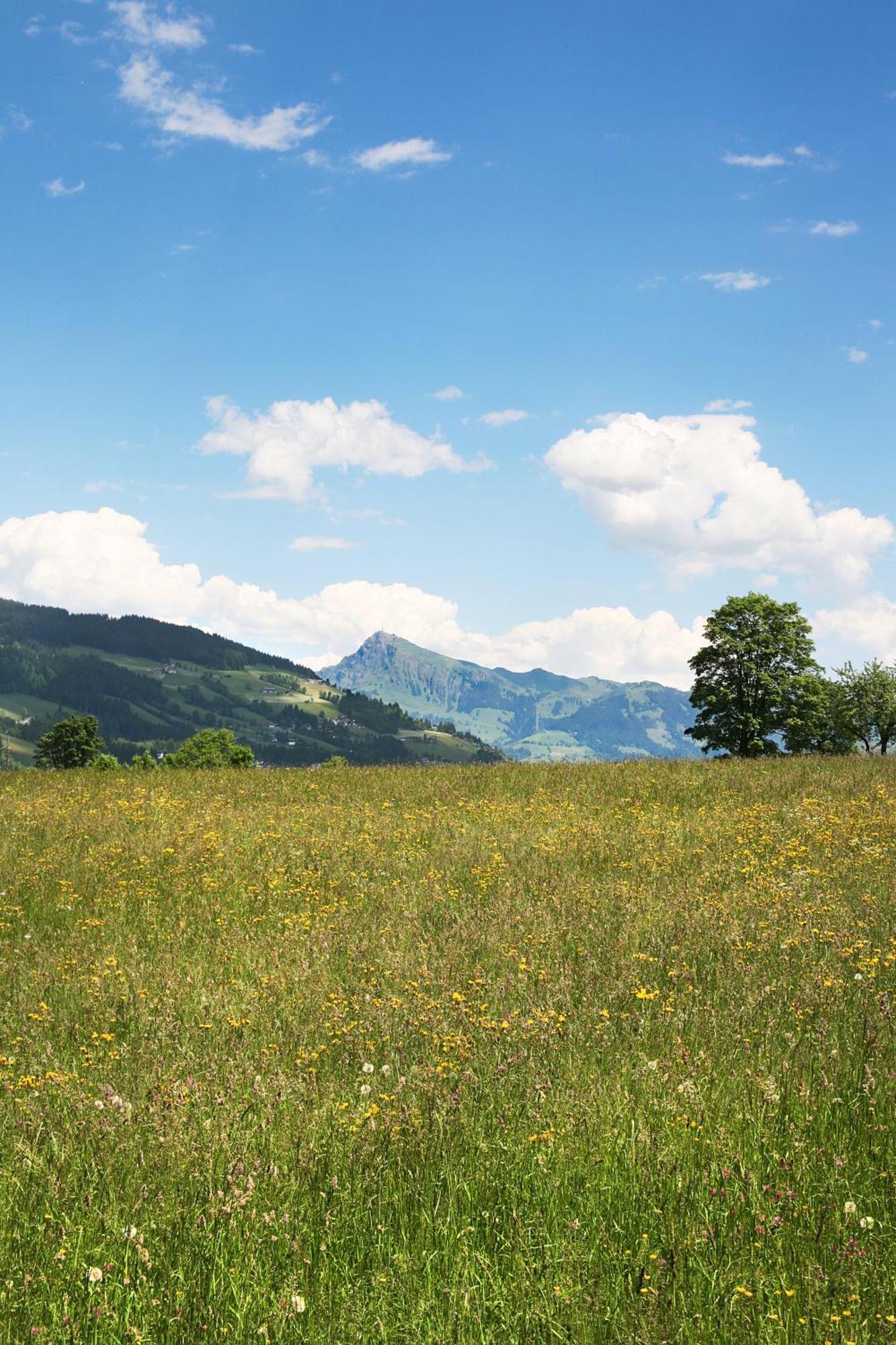 Loipenstubn Otel Brixen im Thale Dış mekan fotoğraf